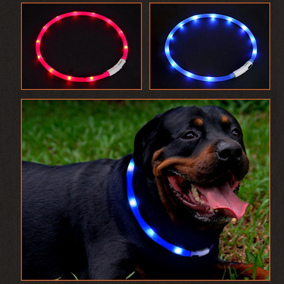 Led Lit Collar