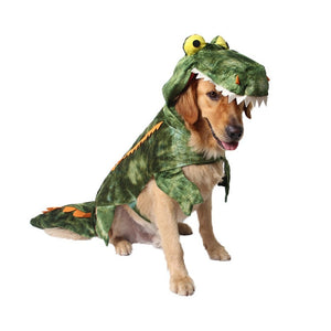 Dragon Dinosaur Coat