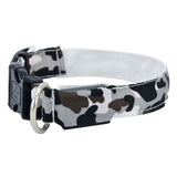 LED Dog Collar  Camouflage Style