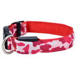 LED Dog Collar  Camouflage Style