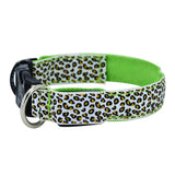 3 mode Leopard LED Dog Collar