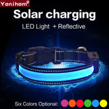 Glow Flashing Solar USB Rechargeable LED Dog Collar