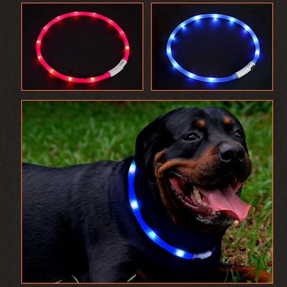 Waterproof USB Rechargeable LED Dog Collar