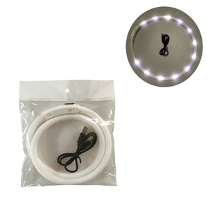 Waterproof USB Rechargeable LED Dog Collar