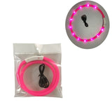 Waterproof USB Rechargeable LED Dog Collar