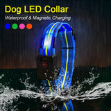 Waterproof LED Dog Collar Original Magnetic Charging