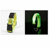 Waterproof LED Dog Collar Original Magnetic Charging