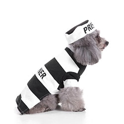 Prison clothes for Small Dog